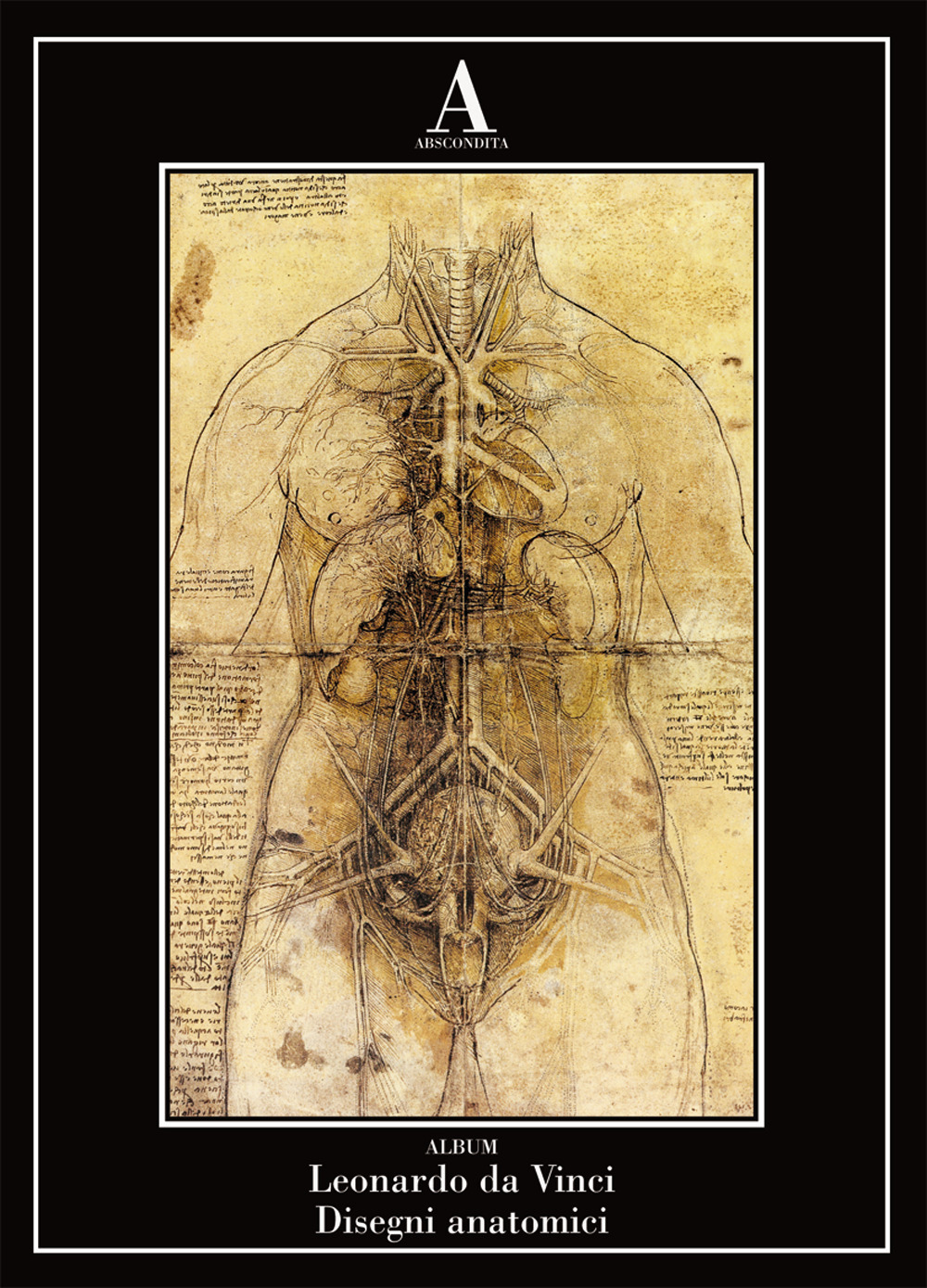 Disegni anatomici. Ediz. illustrata