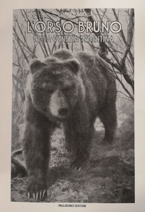 L'orso bruno nella Venezia Tridentina