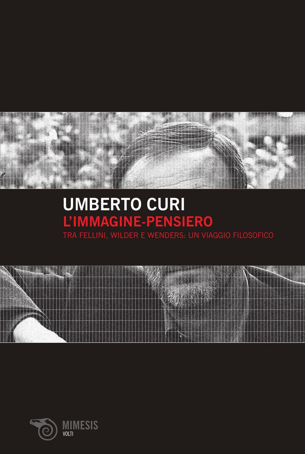 L'immagine-pensiero. Tra Fellini, Wilder e Wenders: un viaggio filosofico