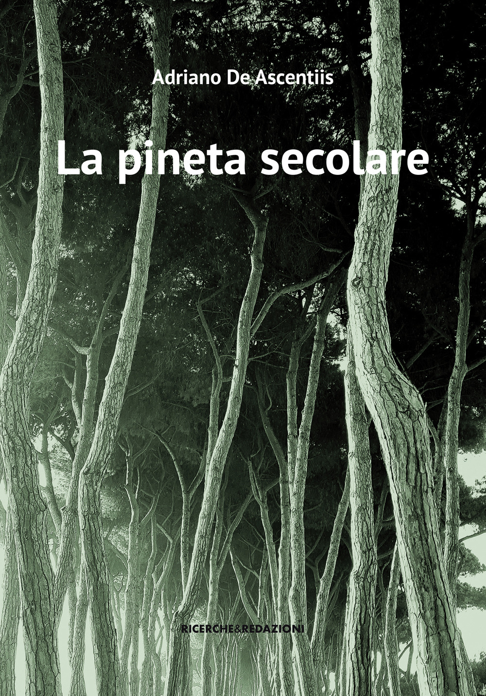 La pineta secolare. La cattedrale arborea di Pineto tra storia e natura