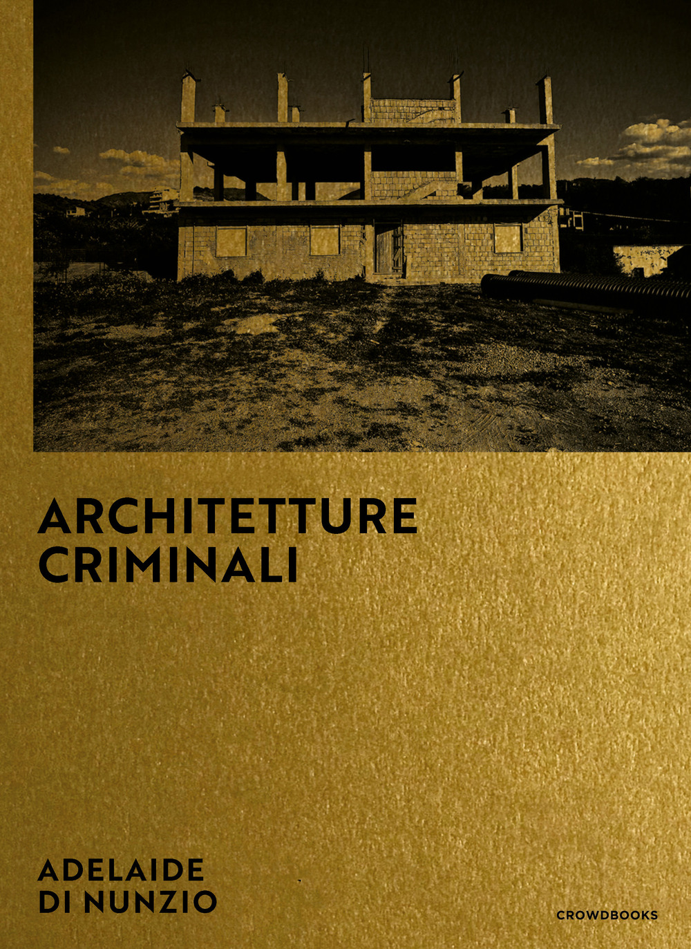 Architetture criminali. Ediz. italiana e inglese