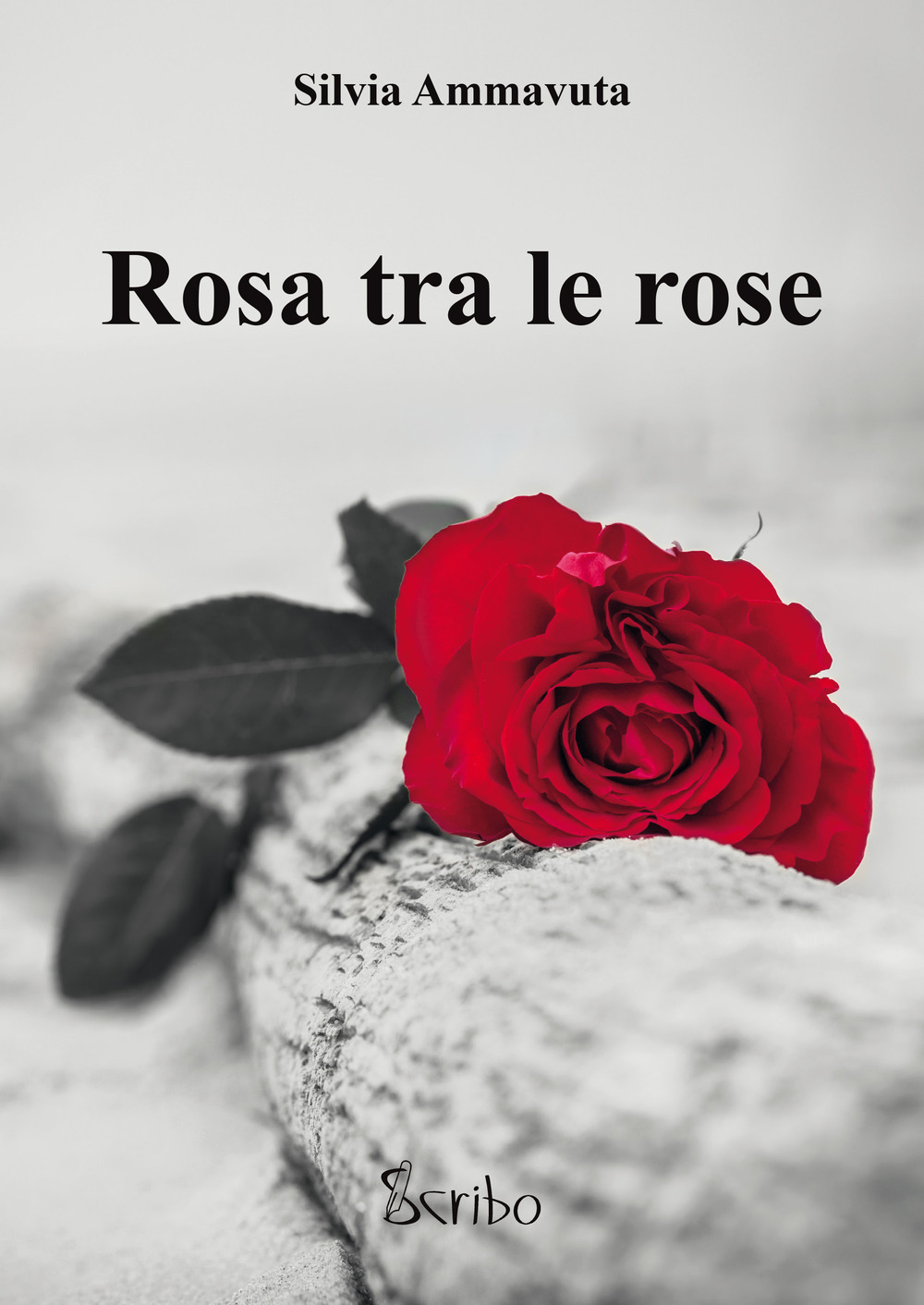 Rosa tra le rose