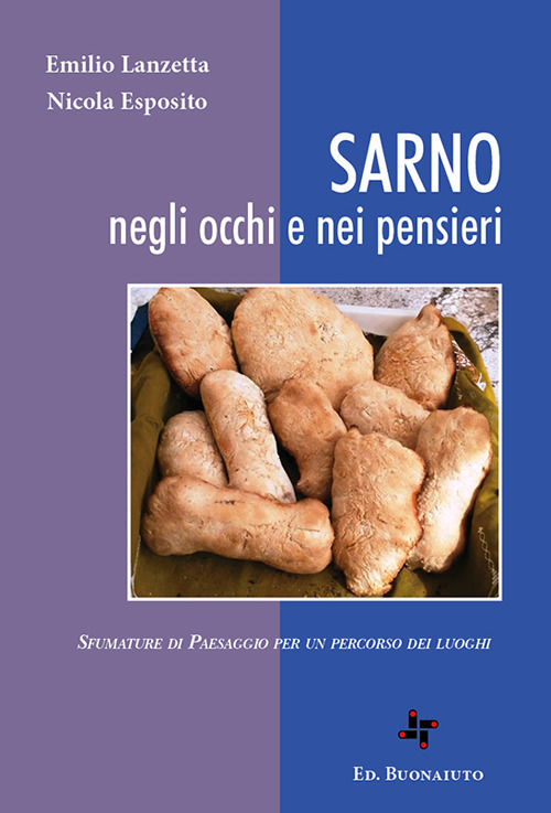 Sarno negli occhi e nei pensieri. Sfumature di paesaggio per un percorso dei luoghi. Ediz. illustrata