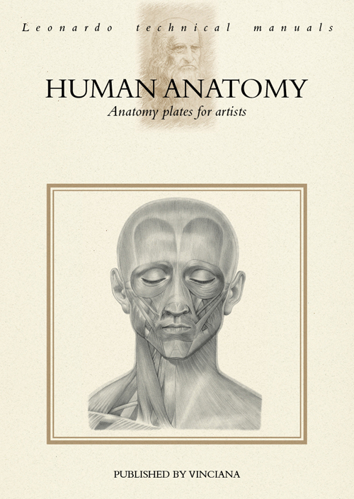 Human anatomy. Anatomy plates for artists. Ediz. illustrata