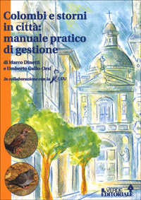 Colombi e storni in città: manuale pratico di gestione