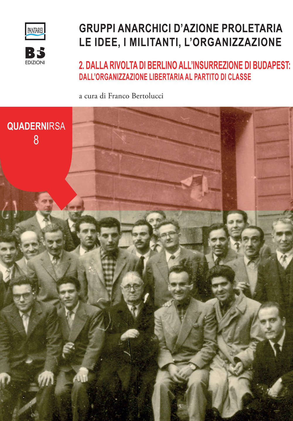 Gruppi anarchici d'azione proletaria. Le idee, i militanti, l'organizzazione. Vol. 2: Dalla rivolta di Berlino all'insurrezione di Budapest: dall'organizzazione libertaria al partito di classe