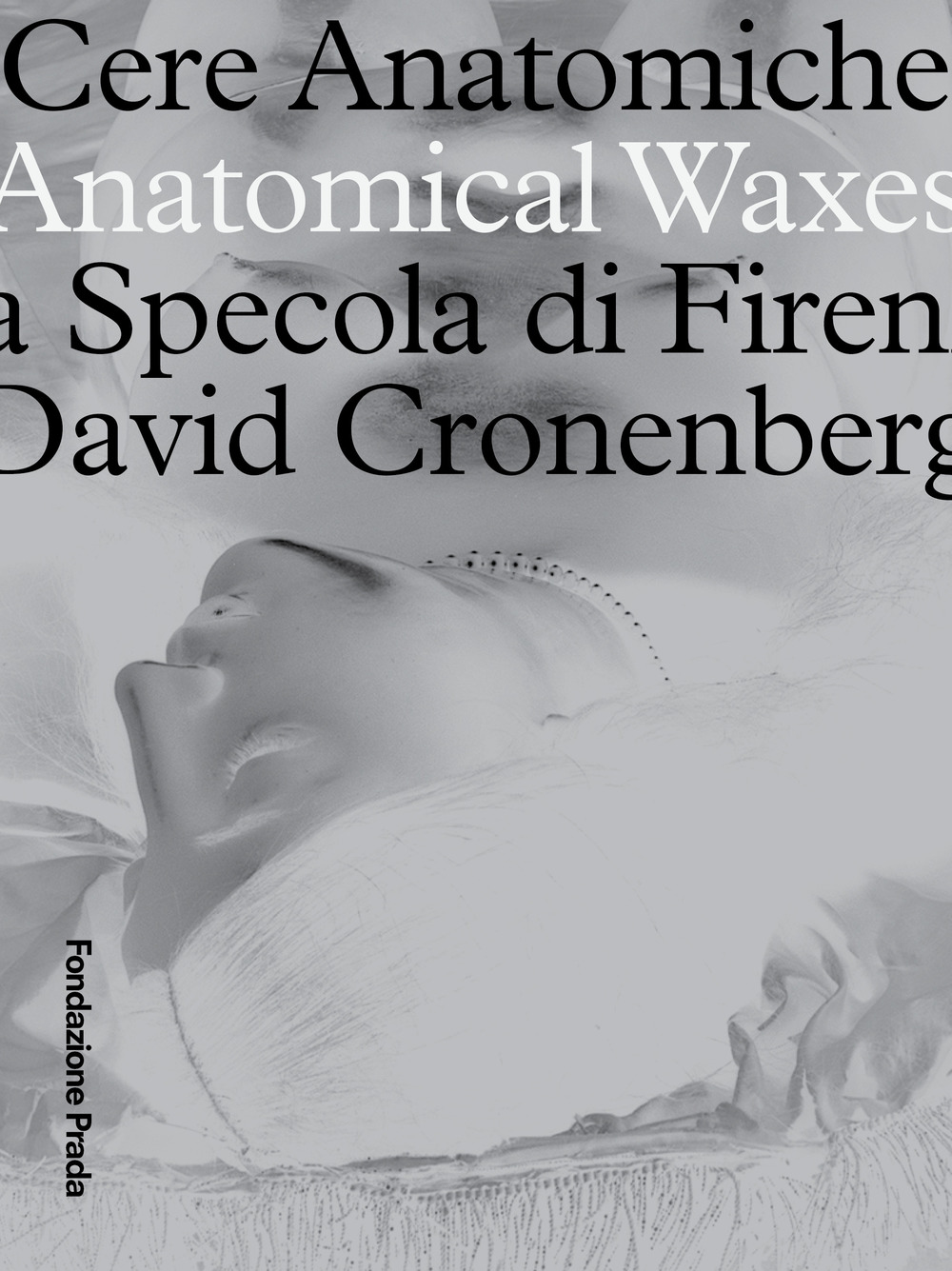 Cere anatomiche. Anatomical Waxes. La Specola di Firenze. David Cronenberg. Ediz. italiana e inglese