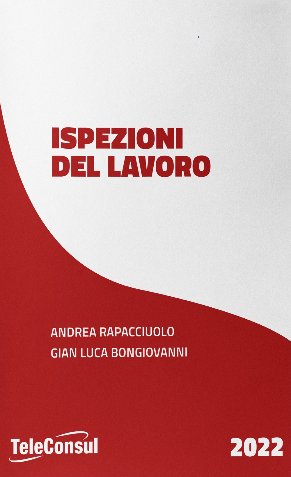 L'ispezione del lavoro