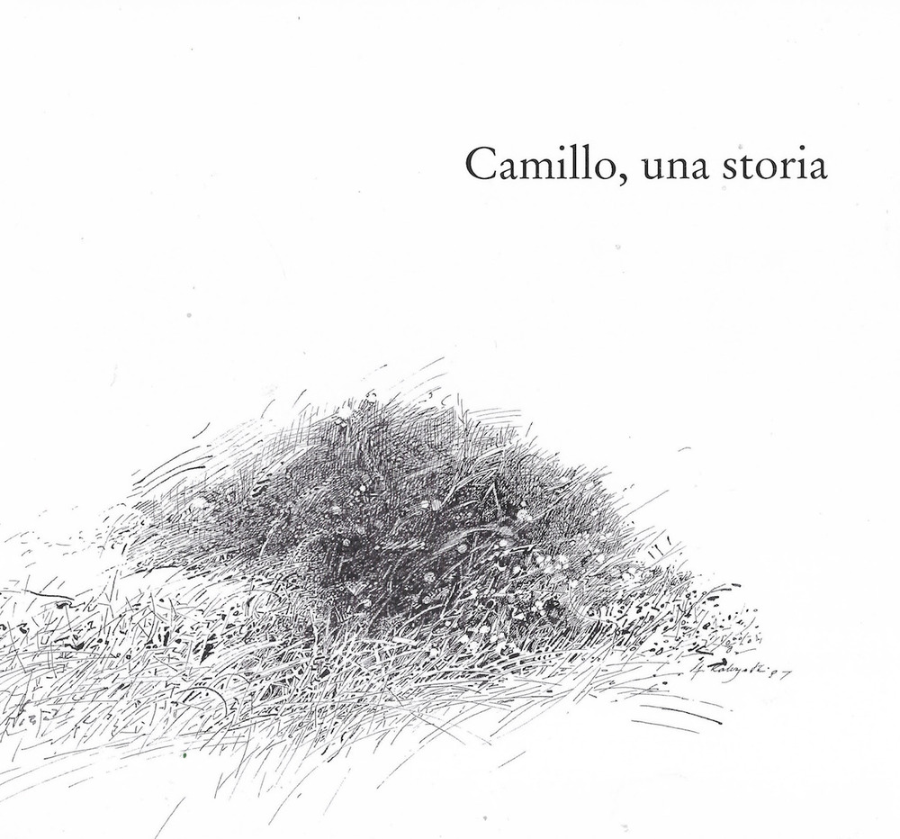 Camillo, una storia. Ediz. illustrata