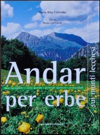 Andar per erbe sui monti lecchesi. Dove raccogliere e come gustare i germogli spontanei commestibili