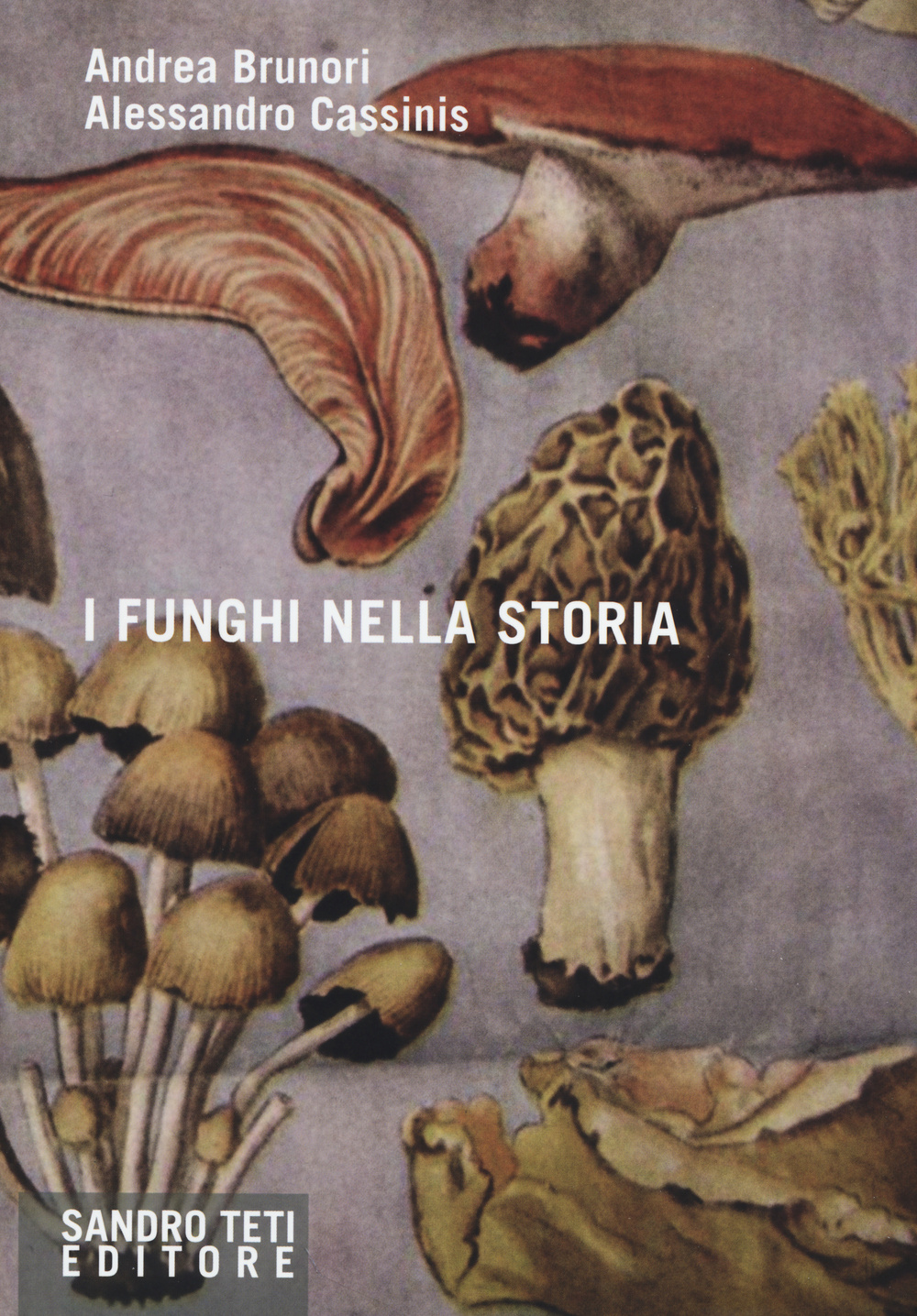 I funghi nella storia