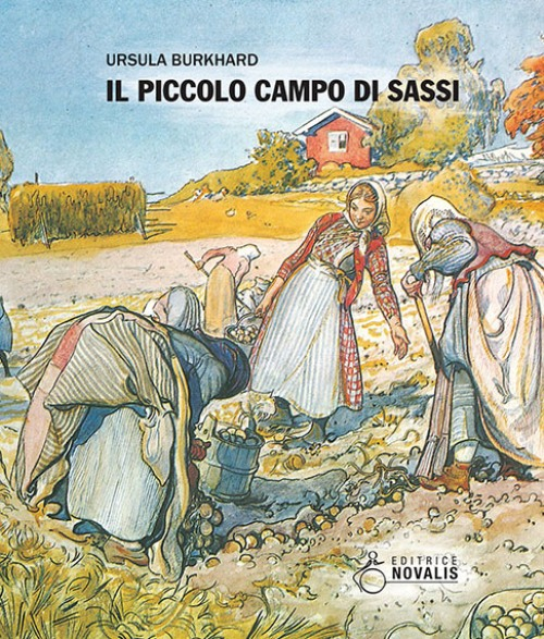 Il piccolo campo di sassi