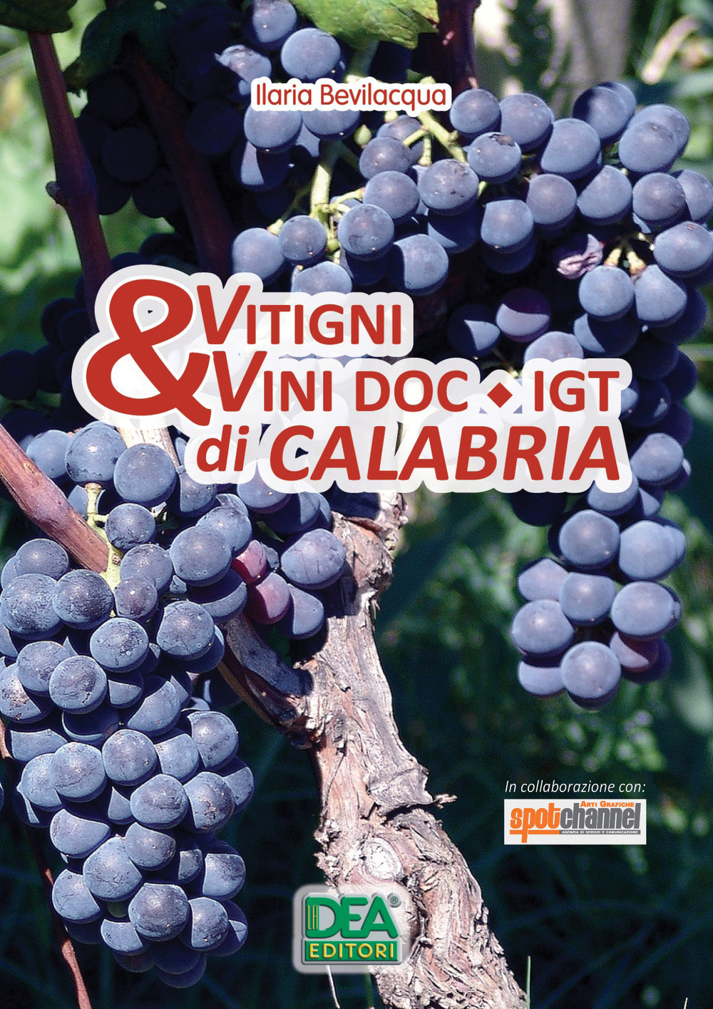 Vitigni & vini Doc-Igt di Calabria