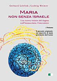 Maria non senza Israele. Una nuova visione del dogma sull'Immacolata Concezione. Vol. 1: Il peccato originale: un coacervo di male provocato dall'uomo