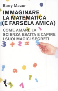 Immaginare la matematica (e farsela amica). Come amare la scienza esatta e capire i suoi magici segreti