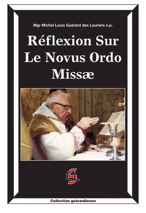 Réflexion sur le Novus Ordo Missæ