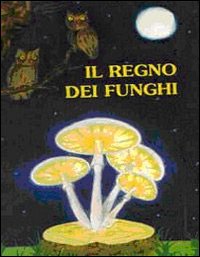 Il regno dei funghi