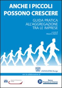 Anche i piccoli possono crescere. Guida pratica all'aggregazione tra le imprese