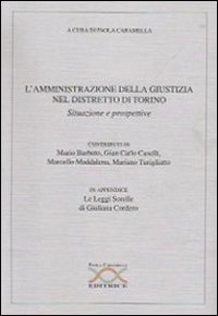 L'amministrazione della giustizia nel distretto di Torino. Situazioni e prospettive