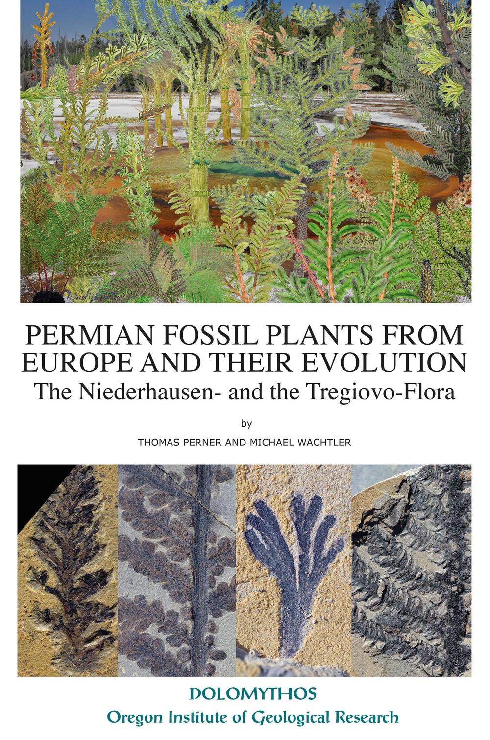 Permain fossil plants from Europe and their evolution. The Niederhausen- and the Tregiovo-Flora