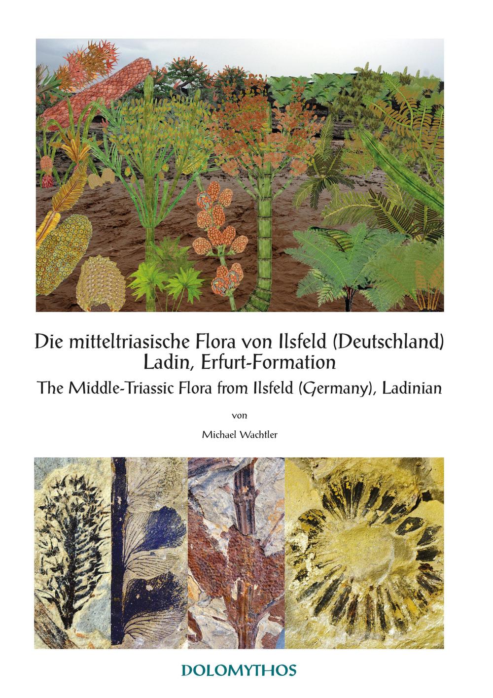Die mitteltriasische Flora von Ilsfeld (Deutschland) Ladin, Erfurt-Formation-The Middle-Triassic Flora from Ilsfeld (Germany), Ladinian. Ediz. bilingue