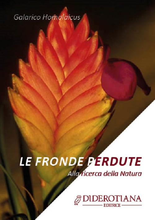 Le fronde perdute. Alla ricerca della natura