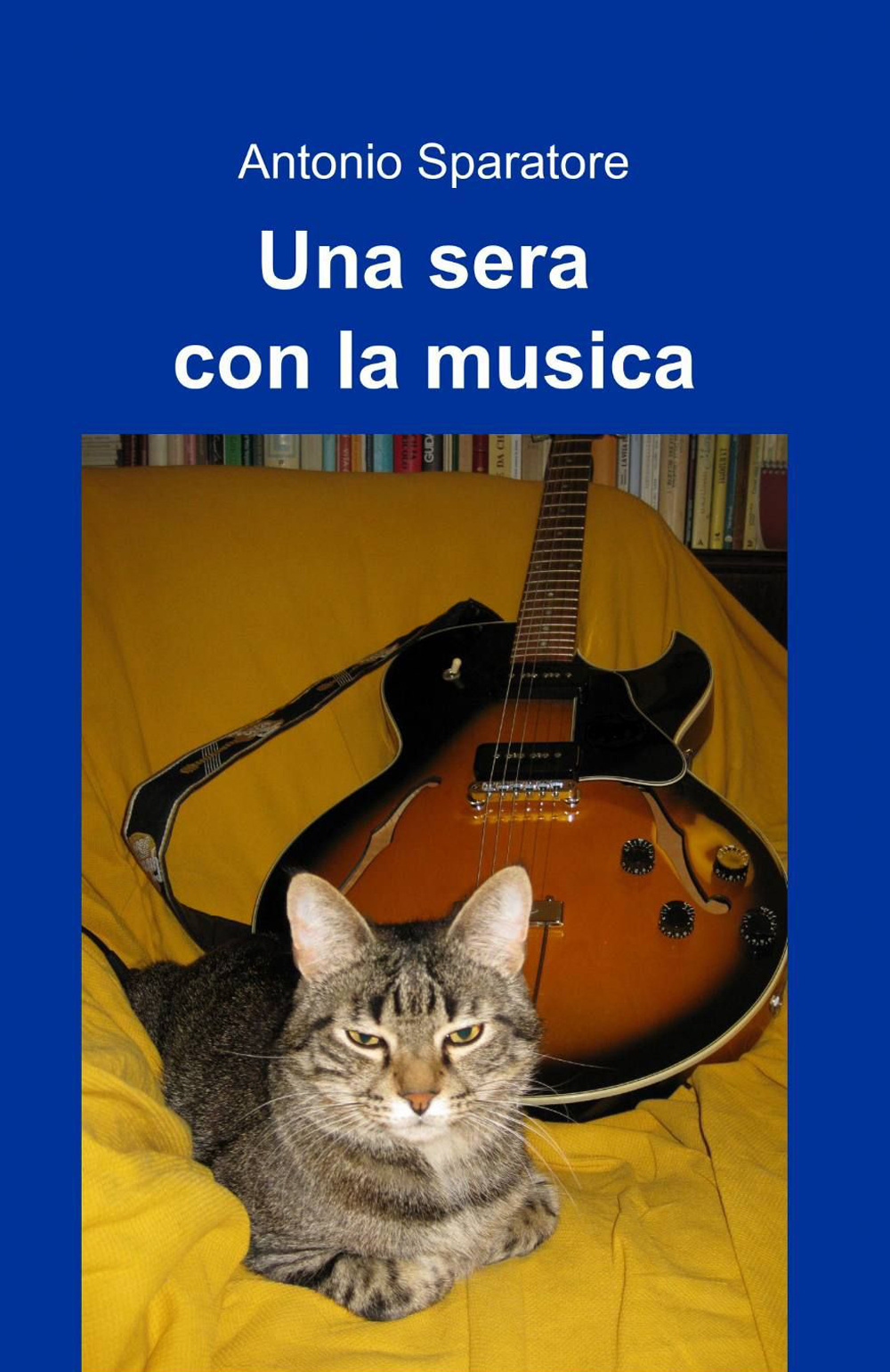 Una sera con la musica