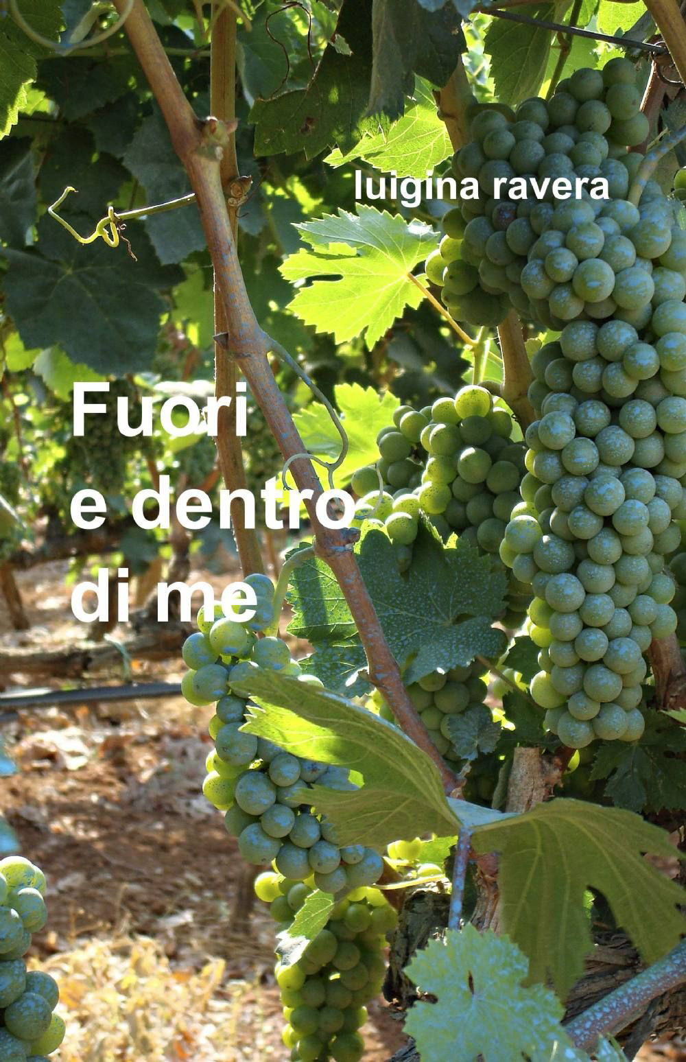 Fuori e dentro di me