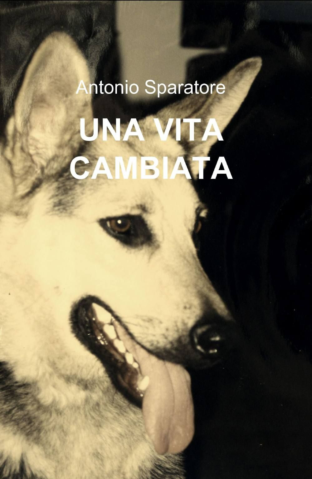 Una vita cambiata