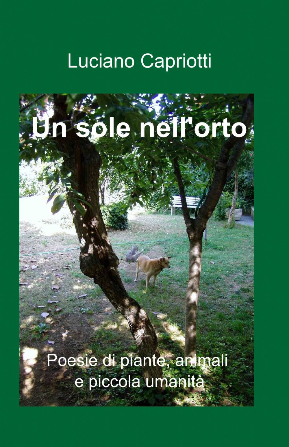 Un sole nell'orto