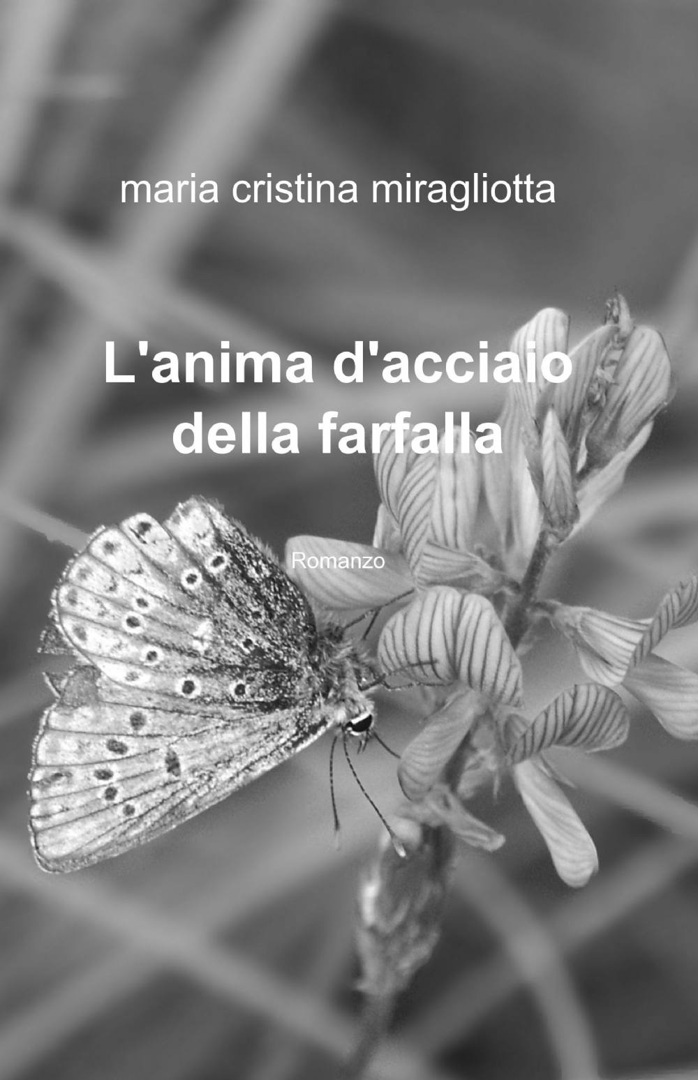 L'anima d'acciaio della farfalla