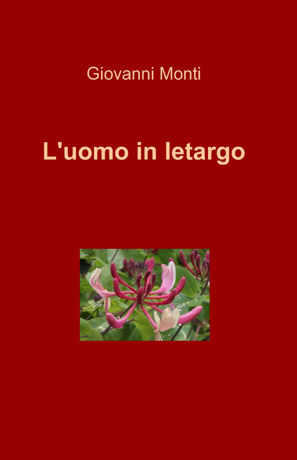 L'uomo in letargo