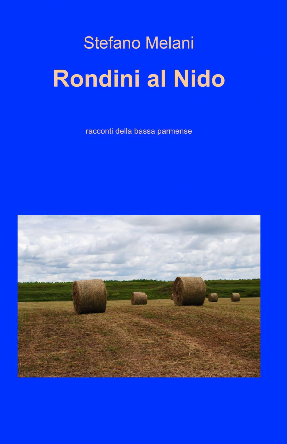 Rondini al nido