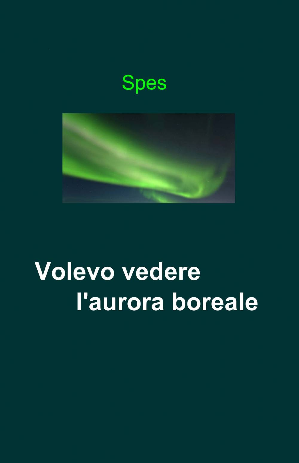 Volevo vedere l'aurora boreale