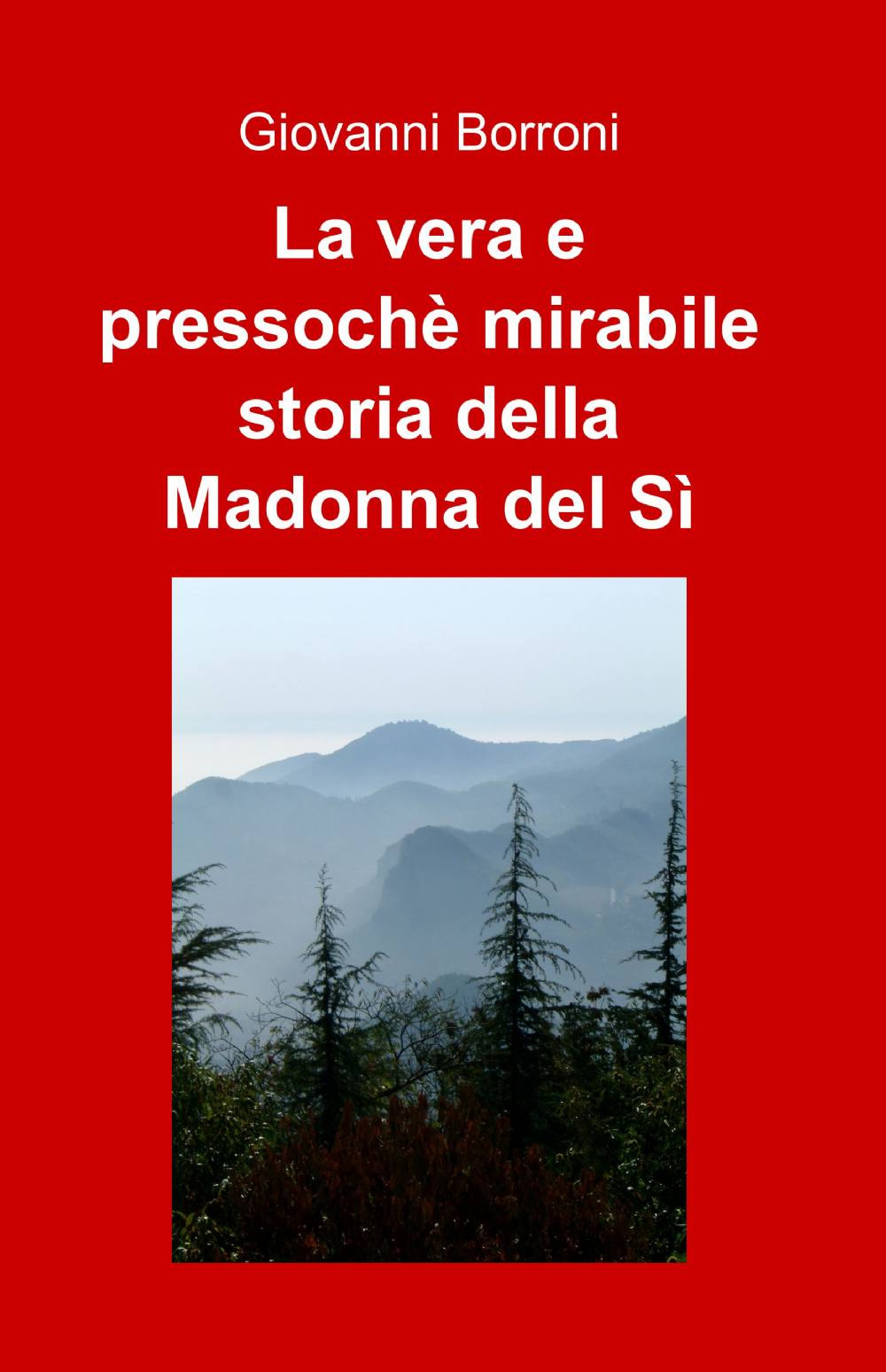 La vera e pressoché mirabile storia della Madonna del sì