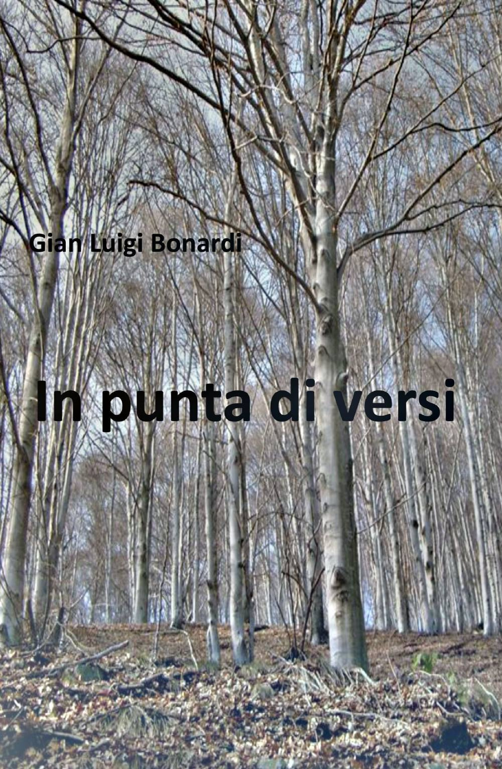 In punta di versi