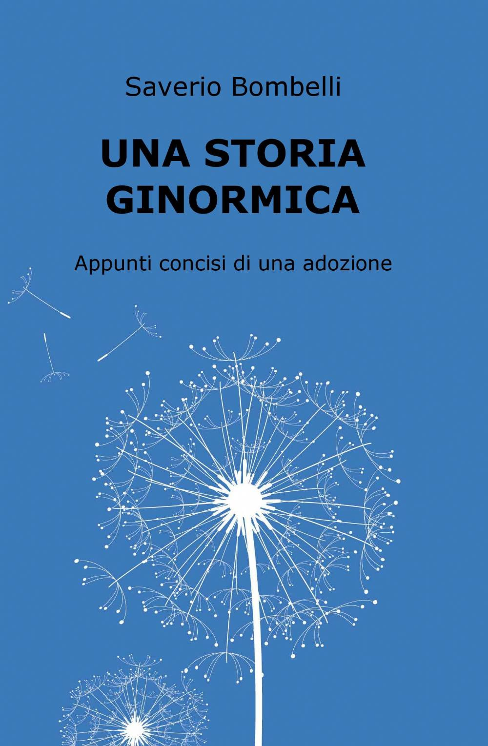 Una storia ginormica. Appunti concisi di una adozione