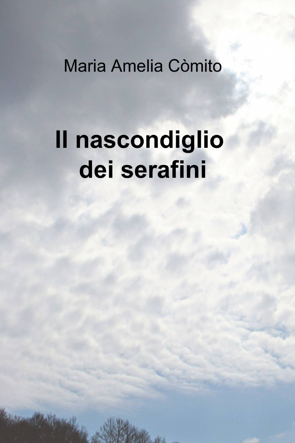 Il nascondiglio dei serafini