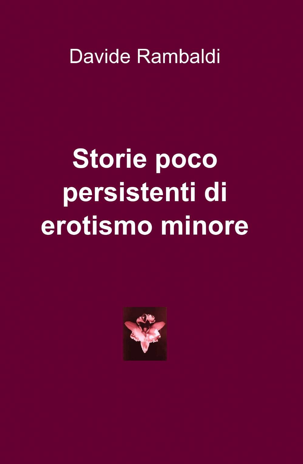 Storie poco persistenti di erotismo minore