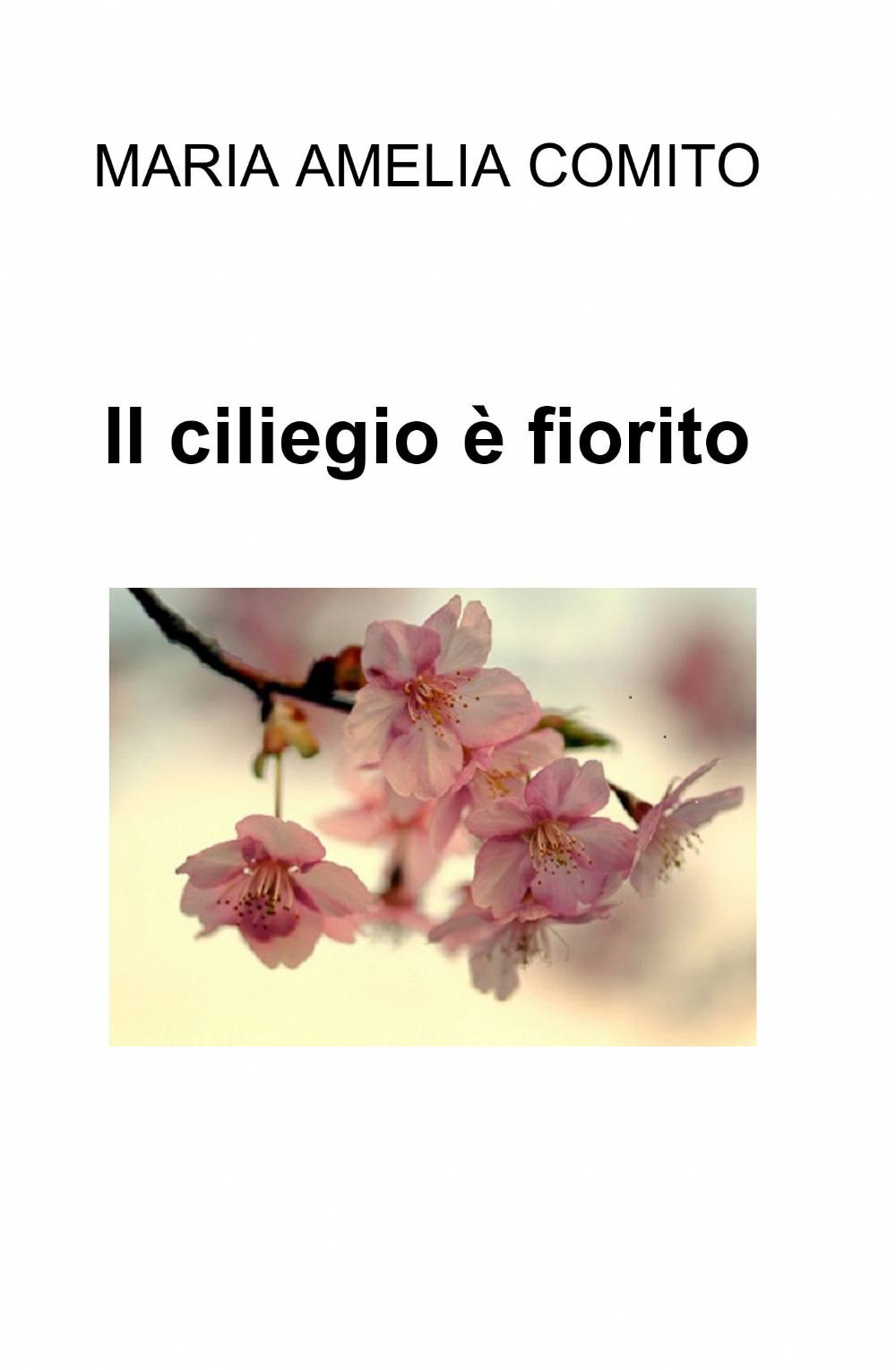 Il ciliegio è fiorito