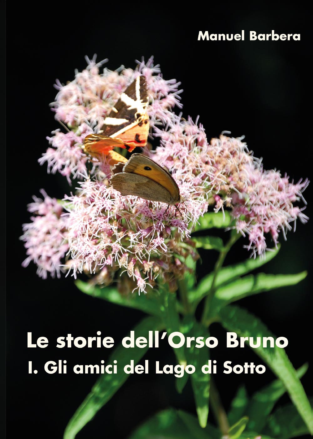 Gli amici del lago di sotto. Le storie dell'orso bruno. Vol. 1