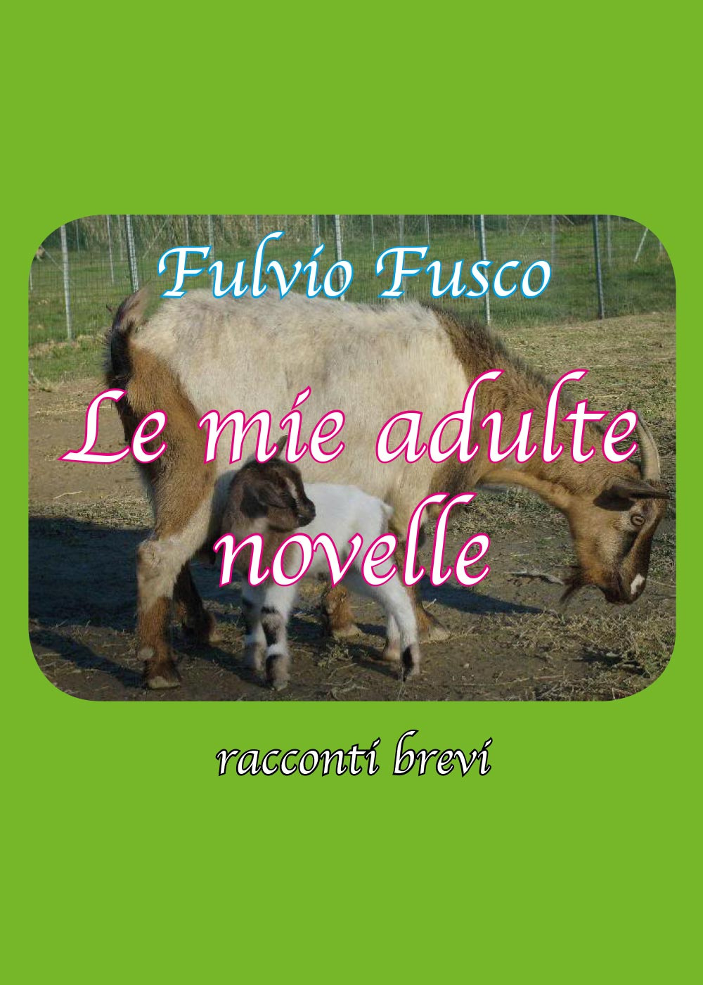 Le mie adulte novelle