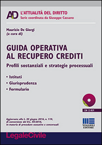 Guida operativa al recupero crediti