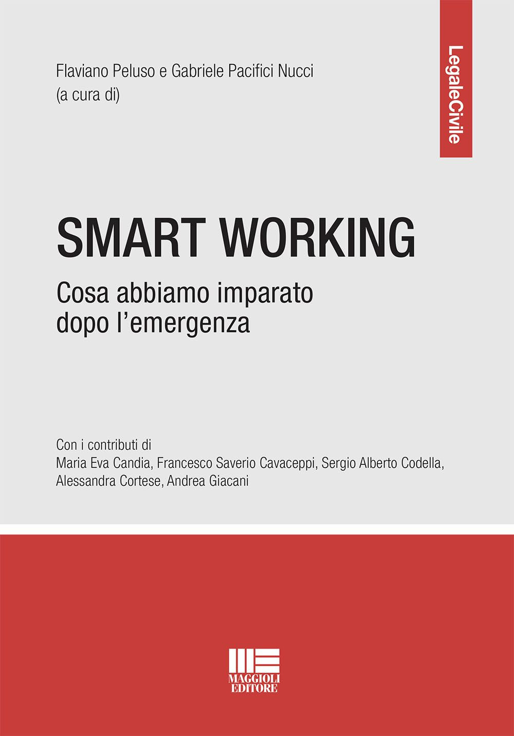 Smart working. Cosa abbiamo imparato dopo l'emergenza