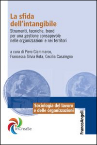 La sfida dell'intangibile. Strumenti, tecniche, trend per una gestione consapevole nelle organizzazioni e nei territori