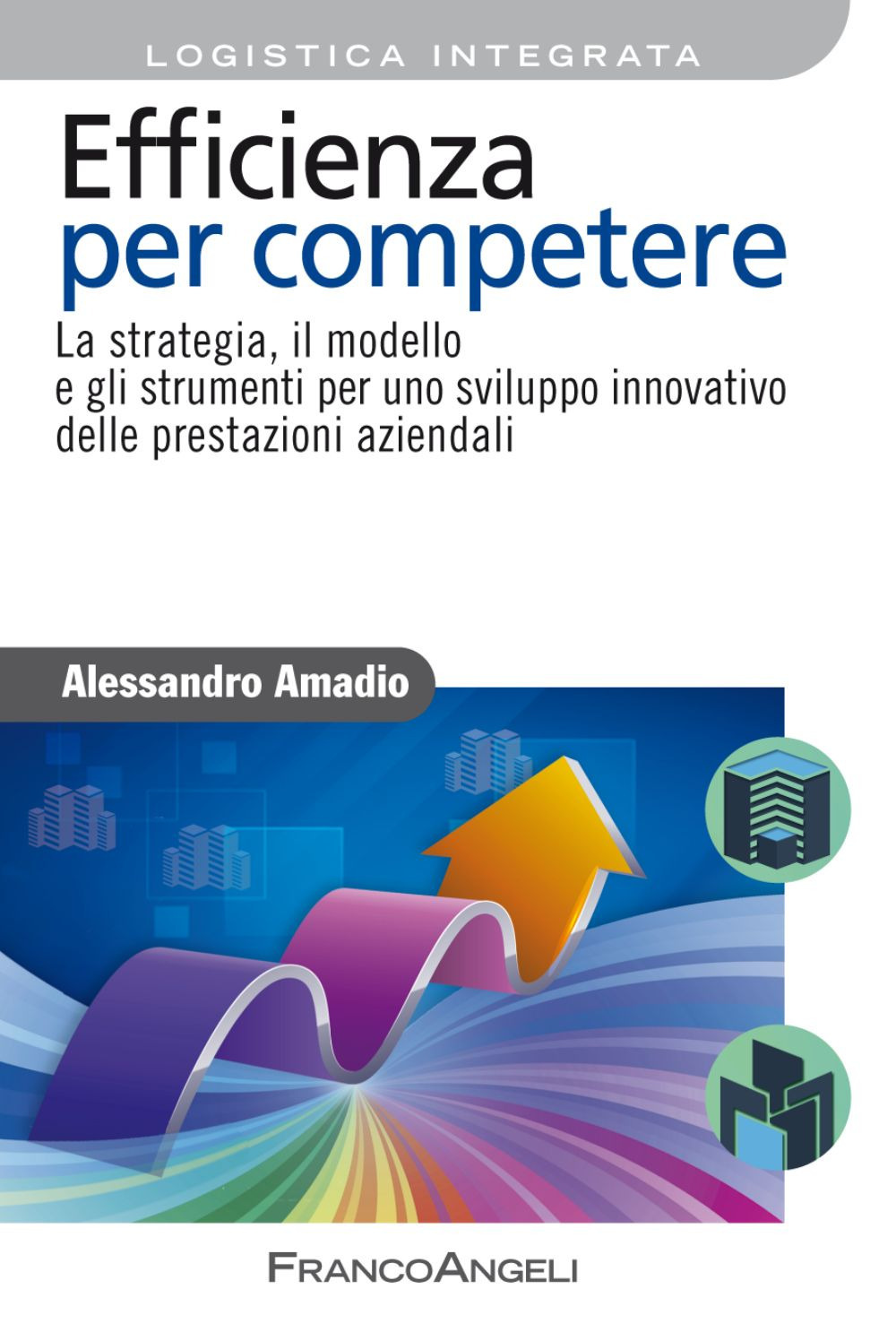 Efficienza per competere. La strategia, il modello e gli strumenti per uno sviluppo innovativo delle prestazioni aziendali