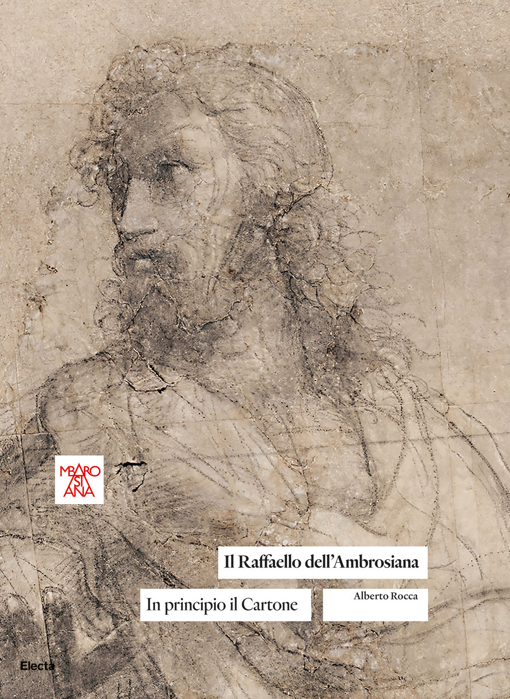 Il Raffaello dell'Ambrosiana. In principio il cartone. Ediz. illustrata