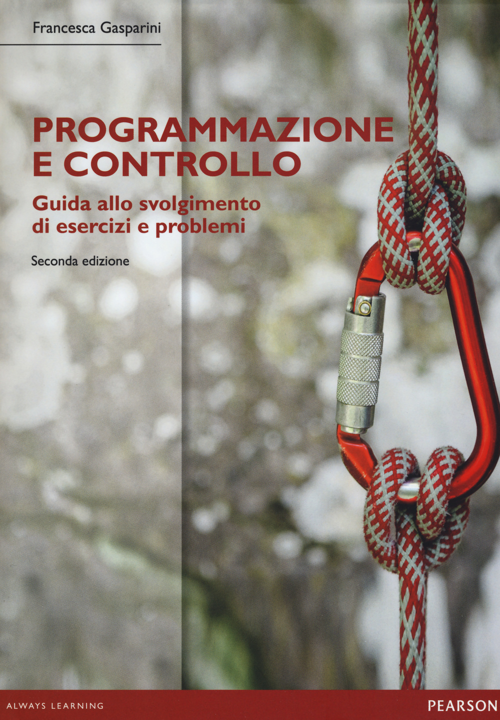 Programmazione e controllo. Guida alla soluzione di esercizi e problemi