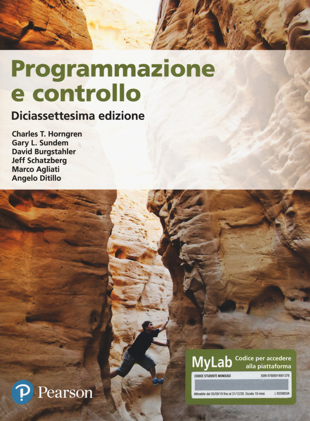 Programmazione e controllo. Ediz. MyLab. Con Contenuto digitale per accesso online