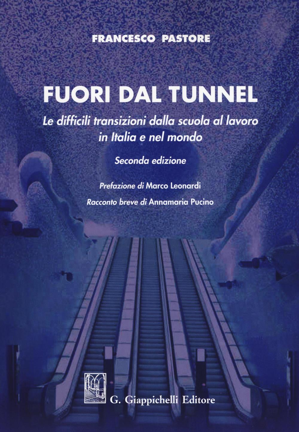 Fuori dal tunnel. Le difficili transizioni dalla scuola al lavoro in Italia e nel mondo